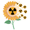 Sunflower Radiation Core
