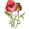 Fleur