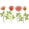 Fleur