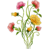 Fleur