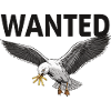 Wanted: French Fries Seagull