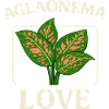 Aglaonema Love