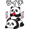 Cute Pandas Enjoying Lychee Fruit
