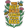 Best Buzz Comes From Bees