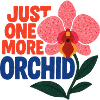 Nur noch eine Orchidee