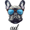 Cool Dog