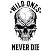 crâne squelette moto motard gang