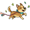 Daily walks count