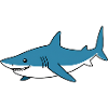 Requin Cartoon Bleu – Ami côtier