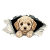Niedlicher Cockapoo Goldendoodle Zerrissenes Papier