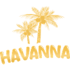 Havana Havana
