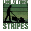 Regarde ces rayures