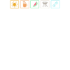Pool Party