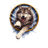 Wolf Ring Splash Attack