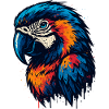 Magnificent parrot head