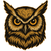 Golden Owl Head Illustration