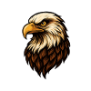 Powerful Eagle Head Illustration