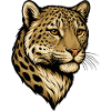 Leopardenkopf Illustration