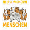 Guinea pig lucky trio