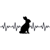Rabbit Rabbit ECG Heartbeat