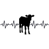 Bauer Calf ECG Heartbeat