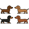 Cute Dachshund Dog Illustration Minimal Style