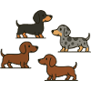 Dachshund Quartet: Spotted & Solid