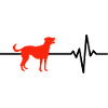 Dog Is My Heartbeat, Doglover, Dogs