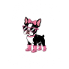 Boston Terrier Sayings Funny Terrier Gift