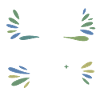 Licensed DC Spinal Alignment Clinical Practitioner