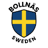 Bollnäs Sweden Shield Flag