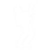 Guitariste, guitariste, garçons, hommes, guitare