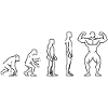 Evolution Fitness – Stärke statt Stillstand