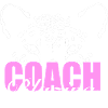 Blazing Coaches T-Shirt