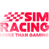 Sim Racing Neon Checkered Logo