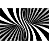 Illusion Spiral Black White