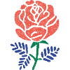 Korallenrose mit Blaugrünen Blättern