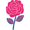 Rubinrose mit blauen Blättern
