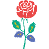 Red Rose with Teal Stem