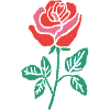 Ligne de dégradé de rose aquarelle