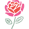 Wasserrose Farbexplosion