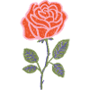 Rose Bloom Textildruck für Kleidung