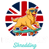 Pawsitively Shredding UK Dog Skateboarder