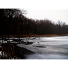 Winterufer am See