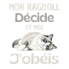 My ragdoll decides, I obey