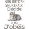 Mon British Shorthair Décide, J’obéis