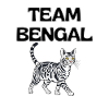 Team Bengal Katzengrafik
