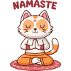 Namaste Chat Zen