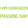 Evergreen every day younger