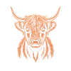 Scottish Highland cattle